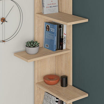 Sapphire Oak,Sapphire Oak