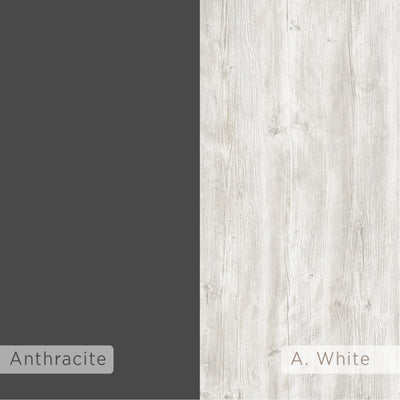 Ancient White,Anthracite