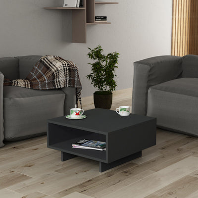 Anthracite,Anthracite