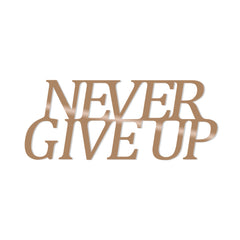 NEVER GIVE UP - COPPER