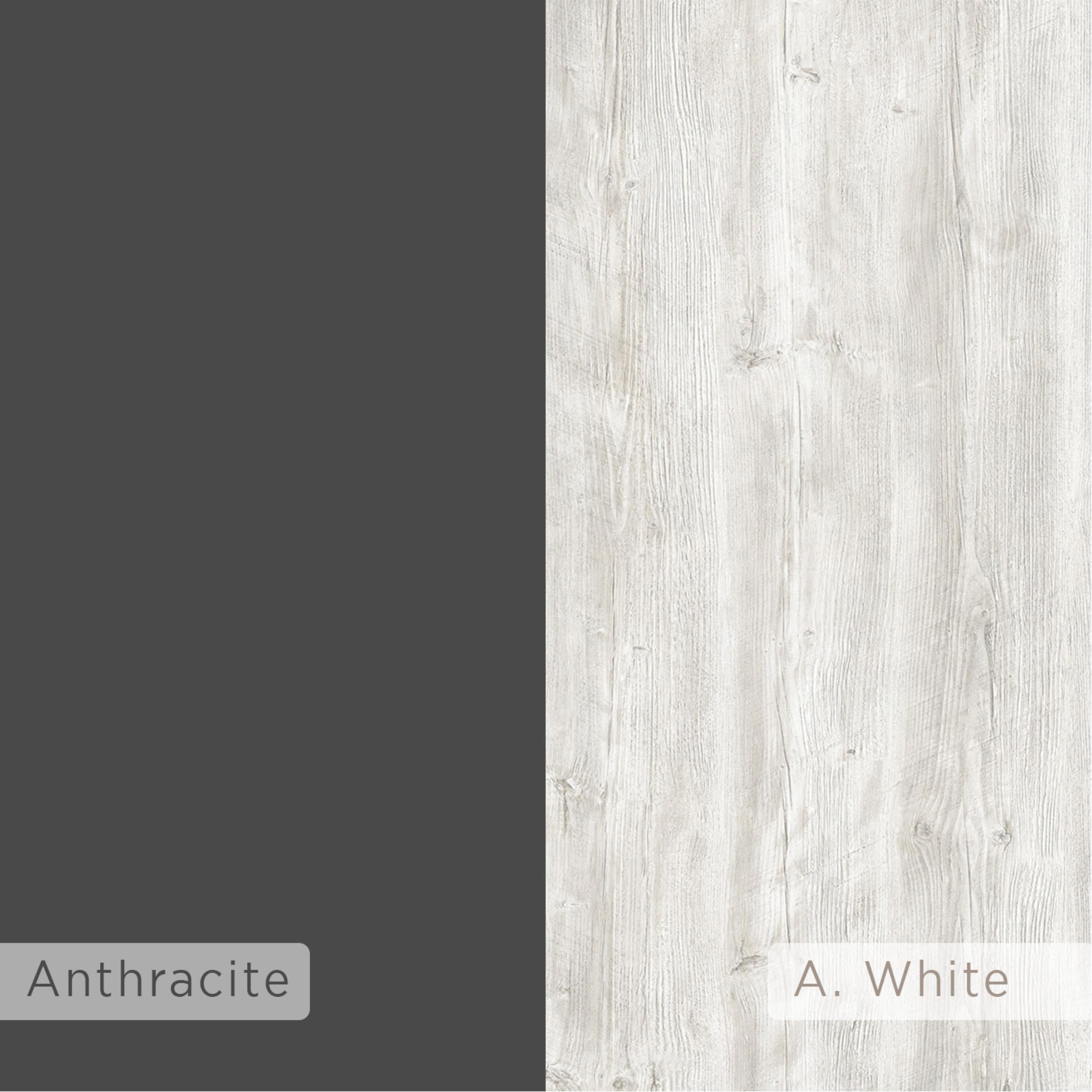 Ancient White,Anthracite