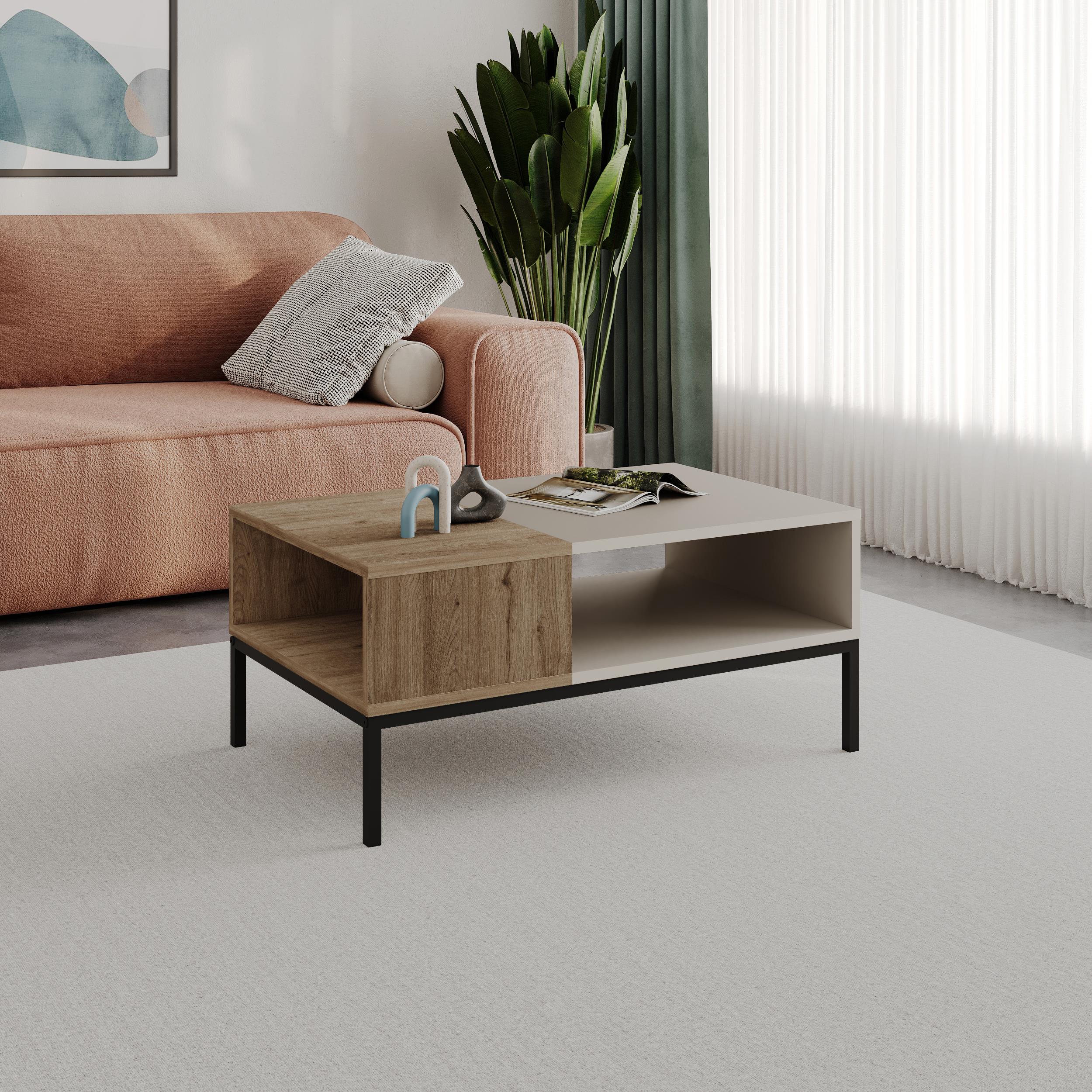 Cailin Modern Coffee Table with Open Storage