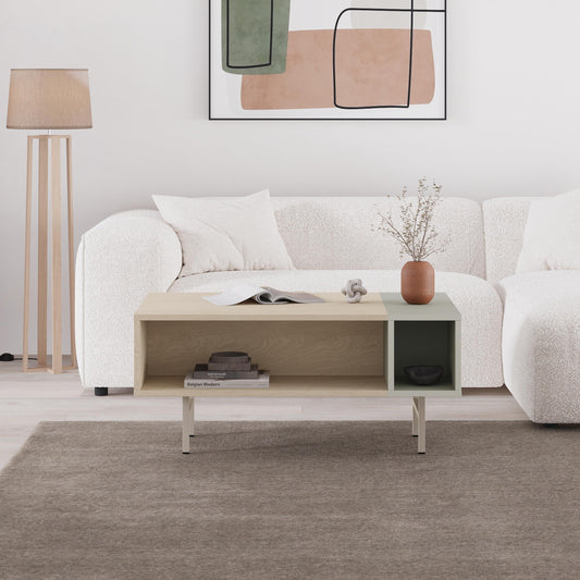 Mona Modern Coffee Table with Open Storage
