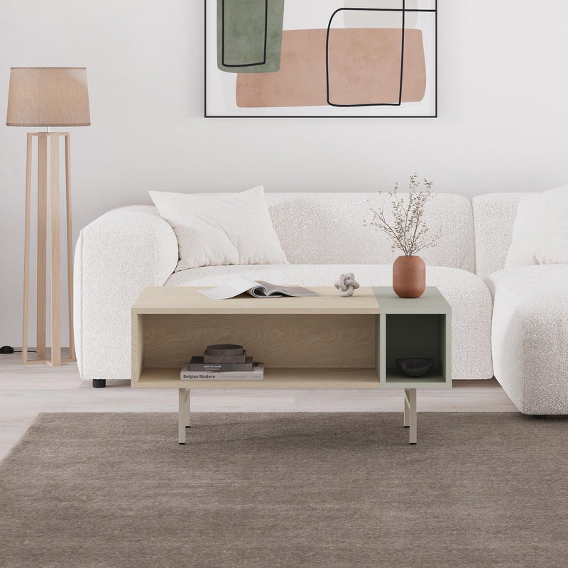 Mona Modern Coffee Table with Open Storage