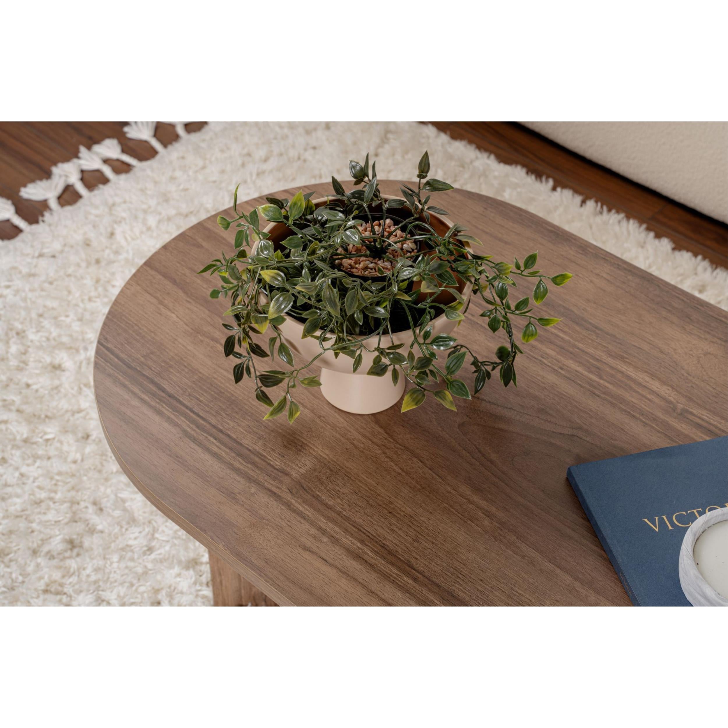Istanbul Walnut,Istanbul Walnut