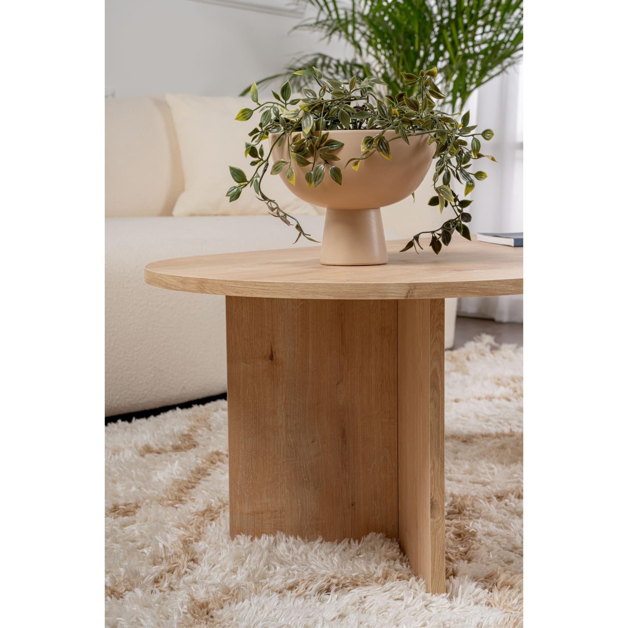 Sapphire Oak,Sapphire Oak
