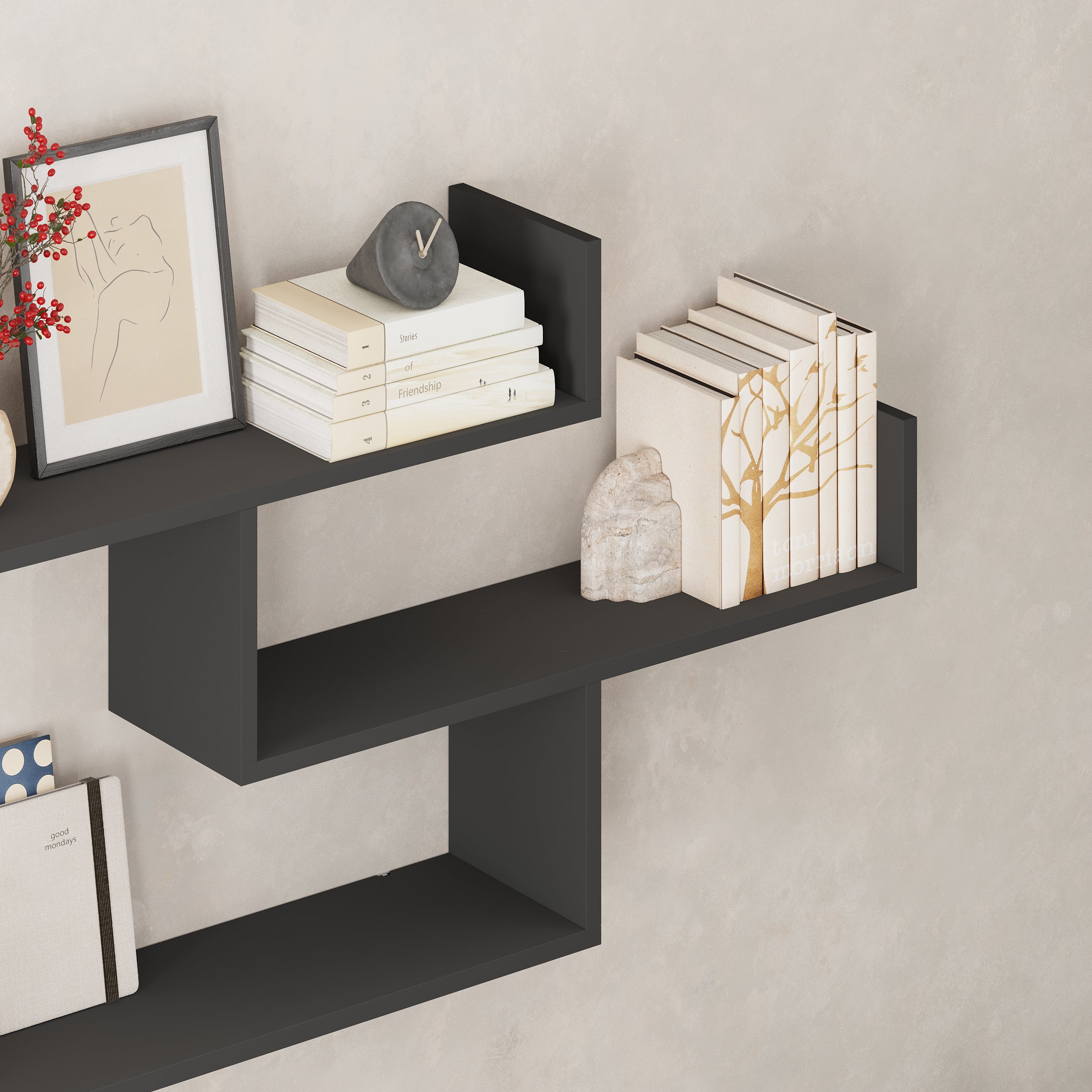 Tibet Wall Shelf Unit – Modern Floating Bookcase in Anthracite Close Up Photo