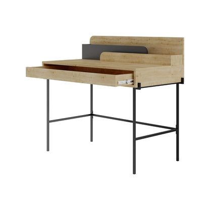 Leila Modern Desk Multipurpose Study Modern Desk Width 110cm