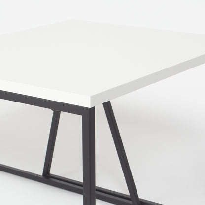 PAL COFFEE TABLE