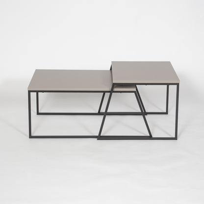 PAL COFFEE TABLE